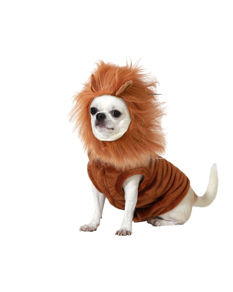 Lion Mane Costume for Small Dogs: Turn Your Furry Friend into a King of the Savannah
